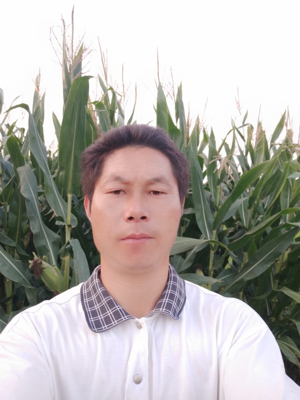 四海游龙的第二张照片--浦城交友网