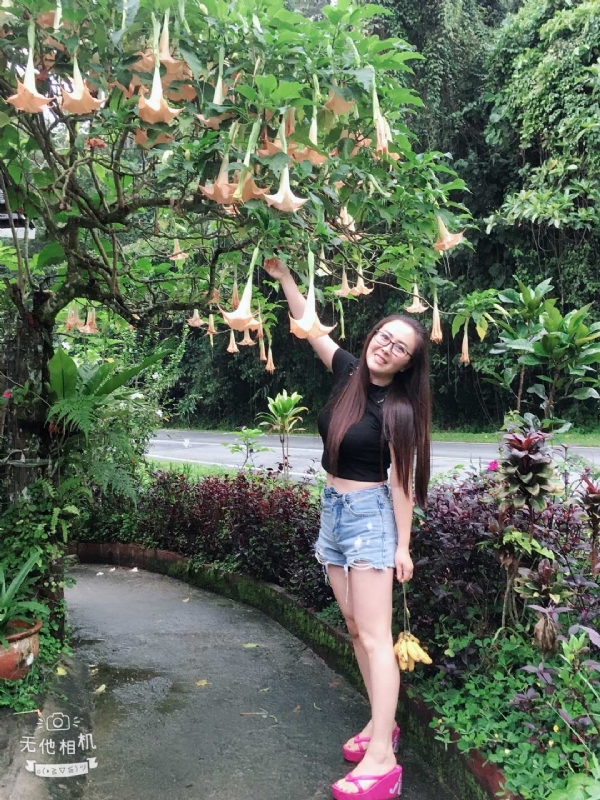 离异单身无子的第二张照片--浦城交友网