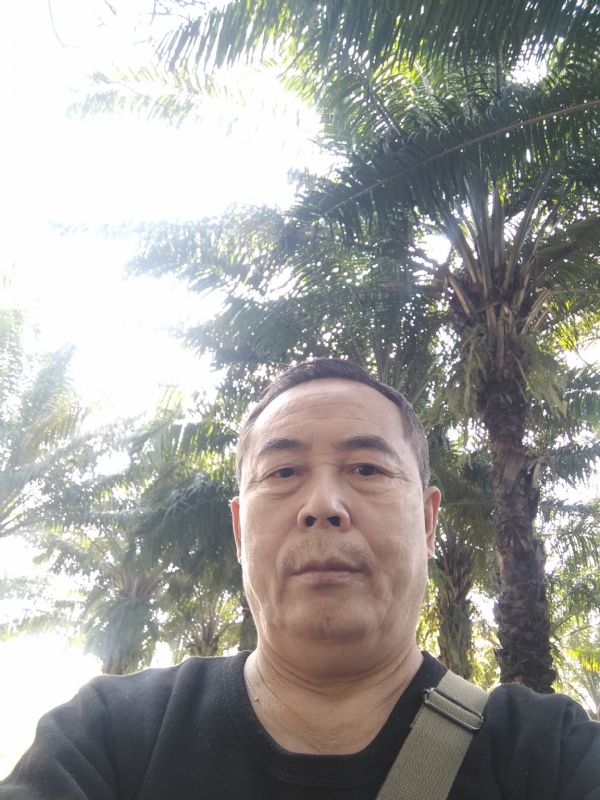 重振雄风的第二张照片--浦城交友网