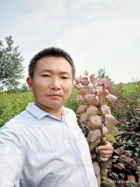 孩子爸的第一张照片--浦城交友网