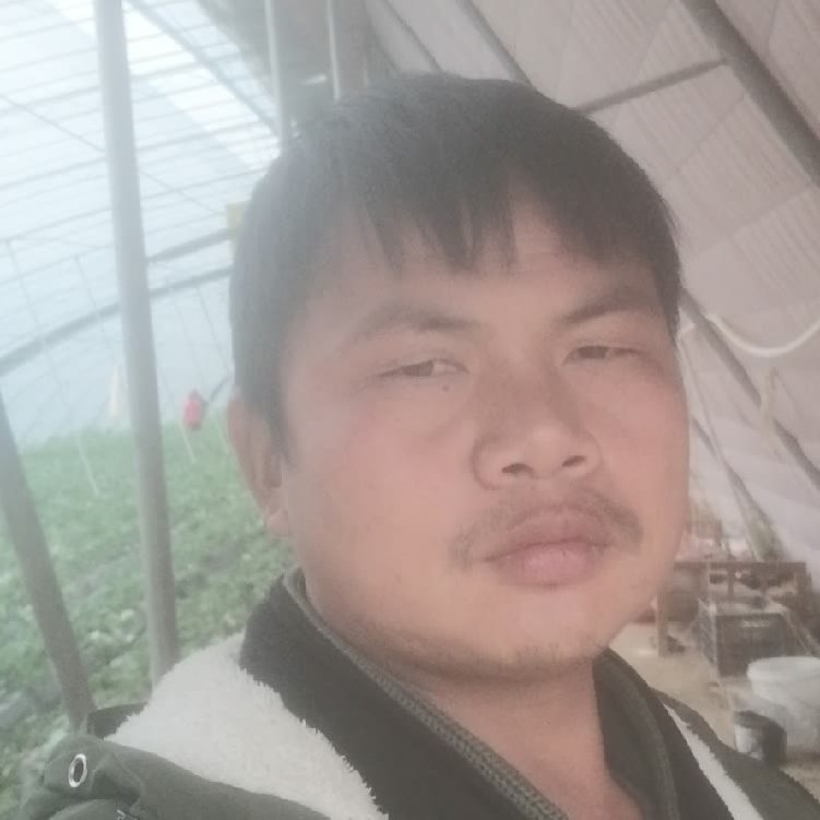 孤狼‘的第一张照片--浦城交友网