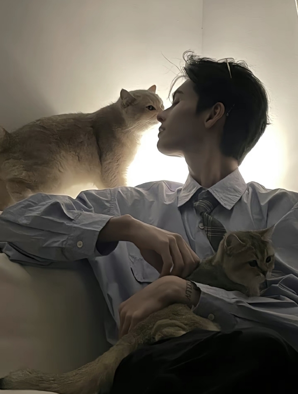 怪猫的第一张照片--浦城交友网