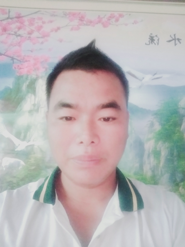 阳光男孩的第二张照片--浦城交友网